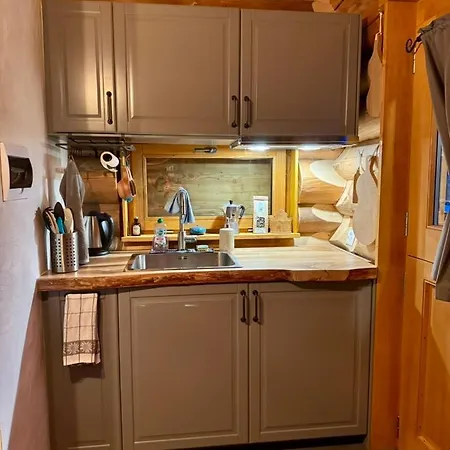 ロッジ The Forest House