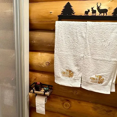 Lodge The Forest House La Comballaz