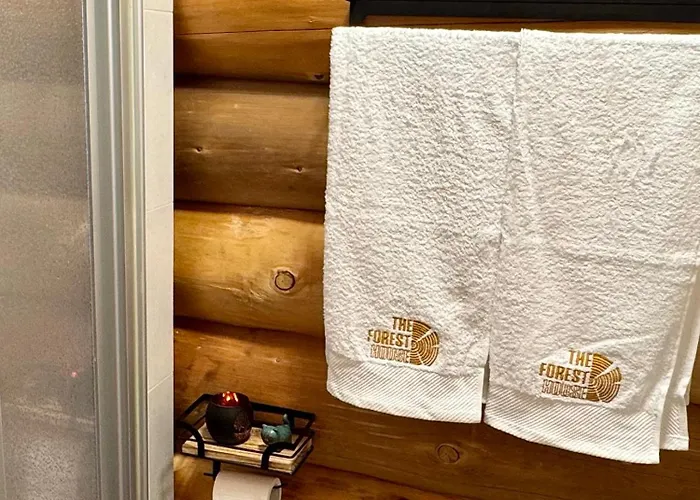 롯지 The Forest House La Comballaz