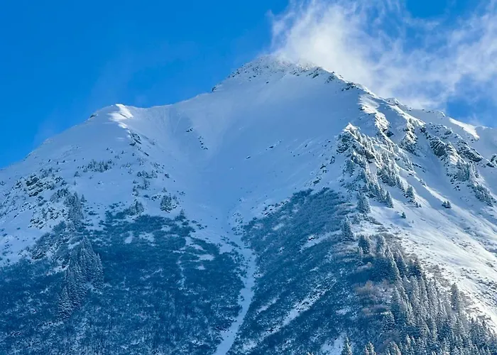 The Forest House 롯지