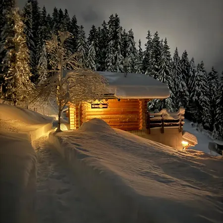 The Forest House