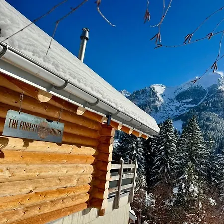 The Forest House * La Comballaz